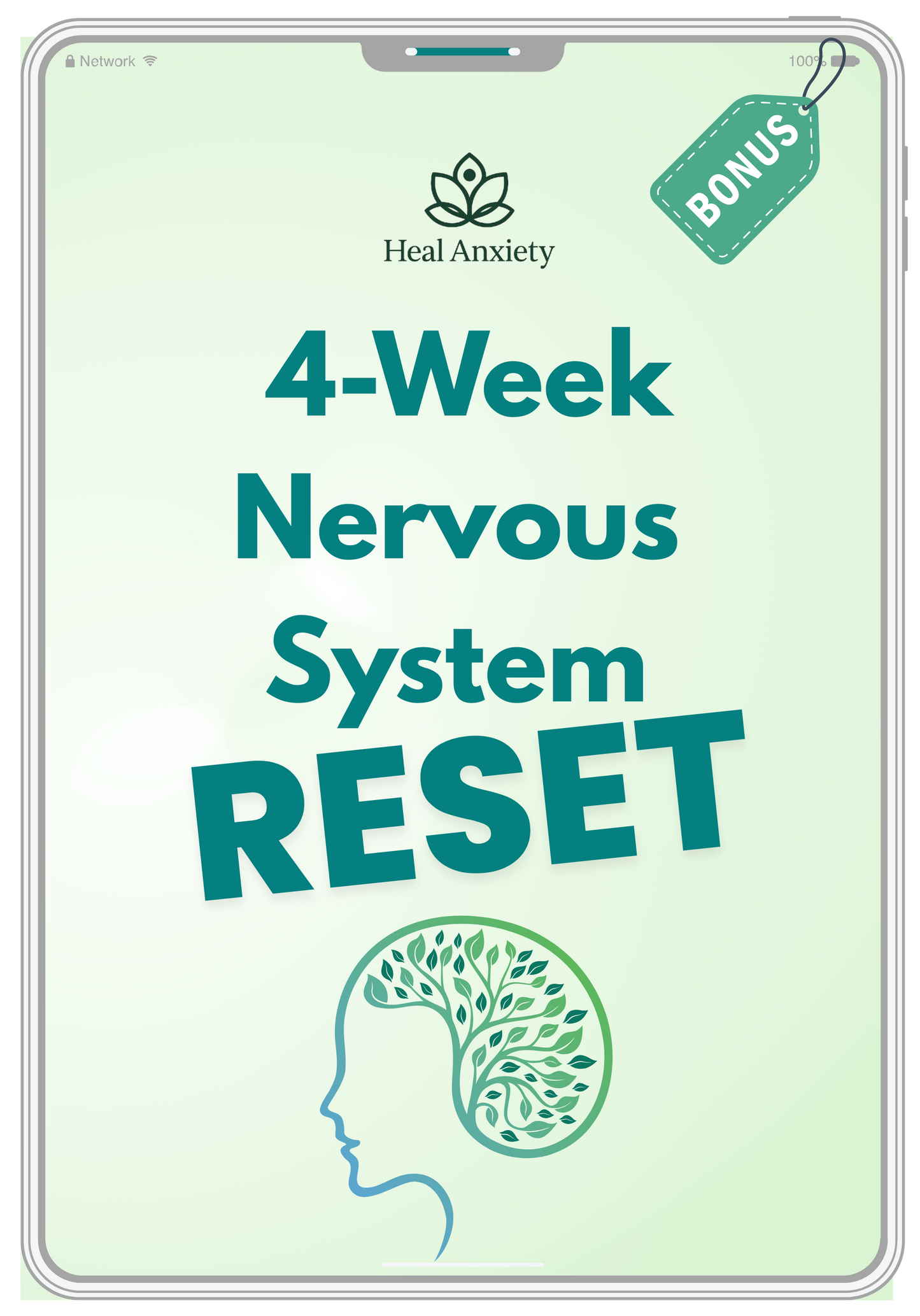 Heal Anxiety - Back to Flow System